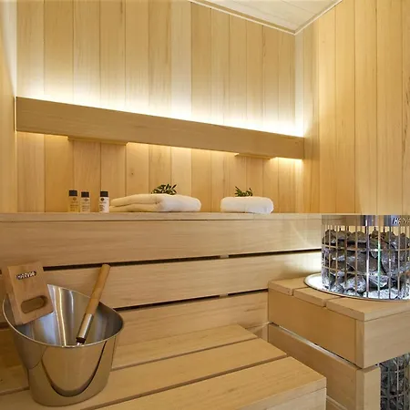 Chalet Odalys Le Lynx *